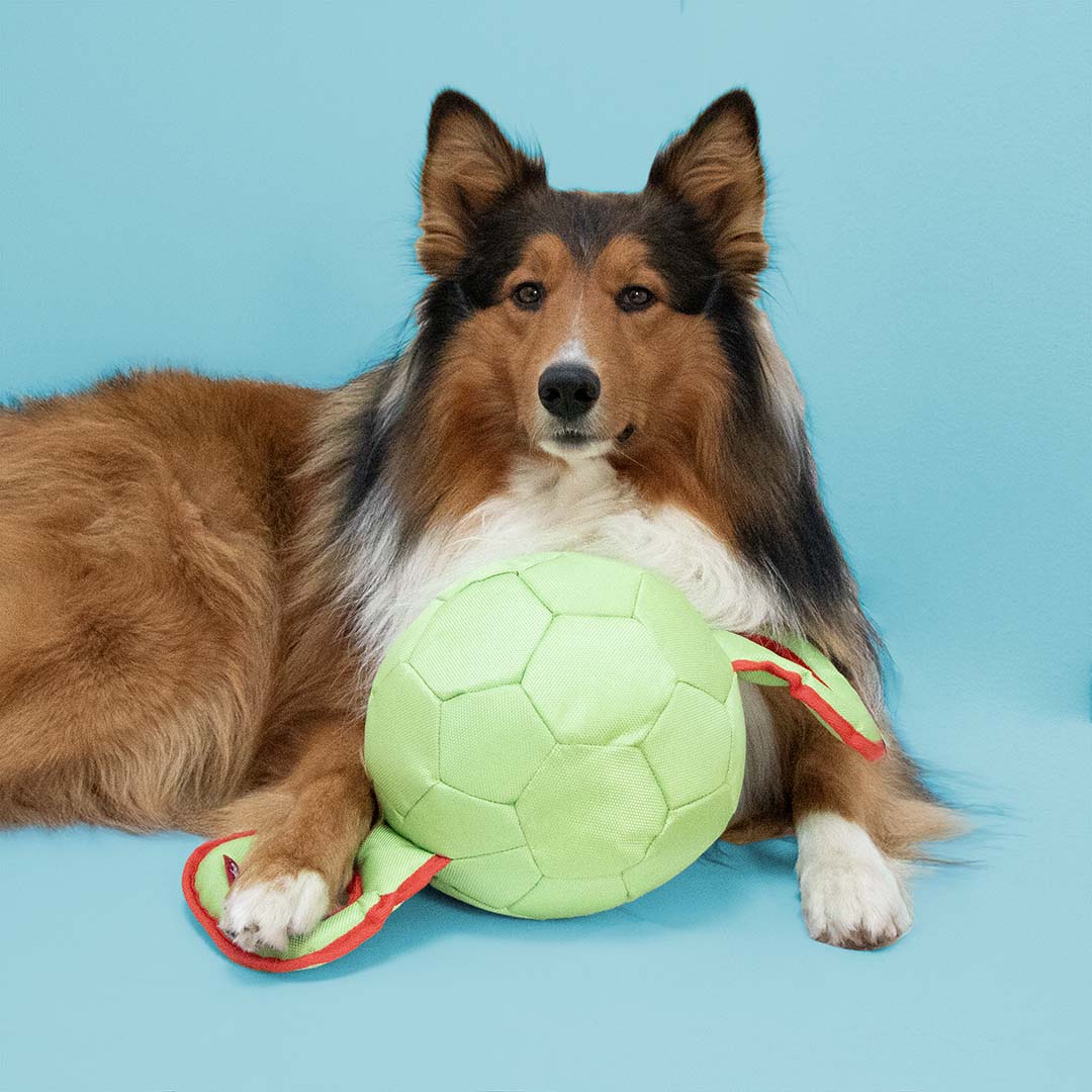 Tug Toy Power Pully Mixed Colors