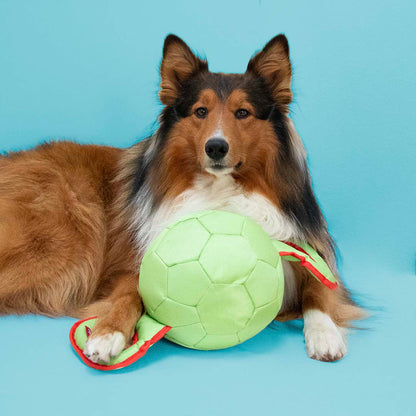 Tug Toy Power Pully Mixed Colors