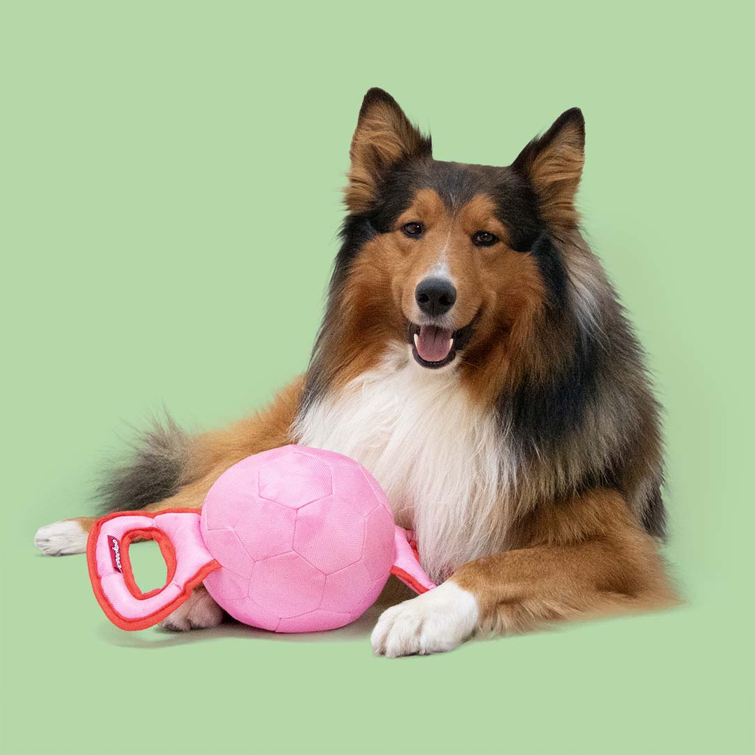 Tug Toy Power Pully Mixed Colors