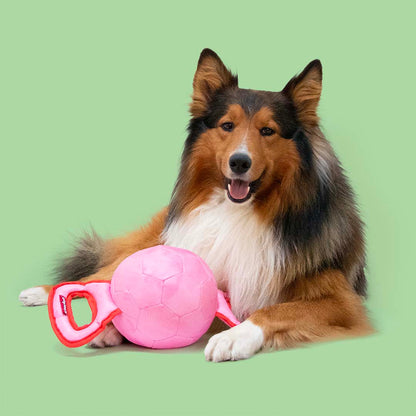 Tug Toy Power Pully Mixed Colors