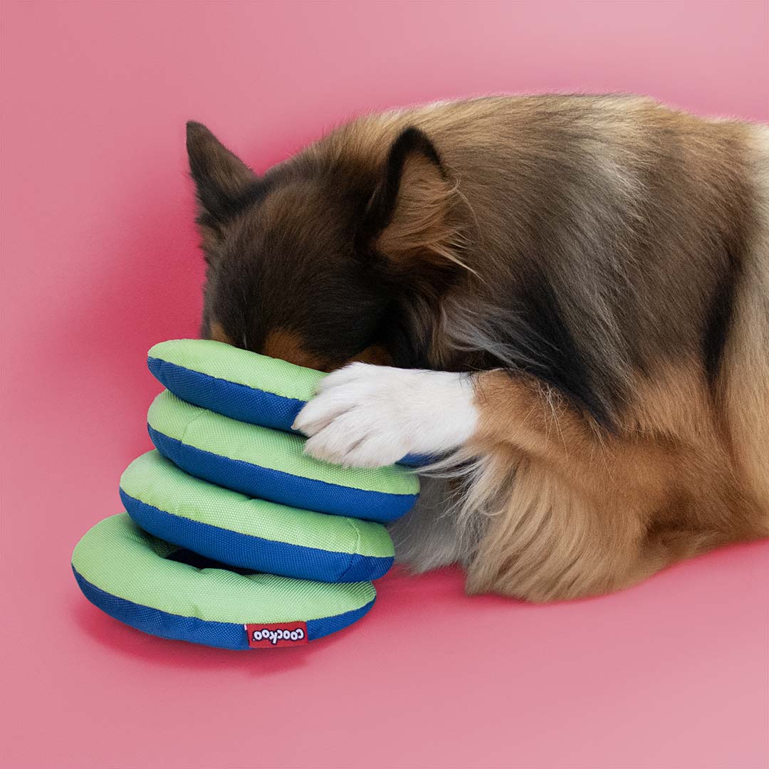 Tug Toy Ringo Reggie