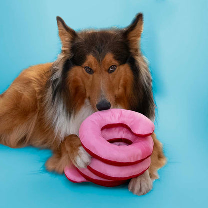Tug Toy Ringo Reggie