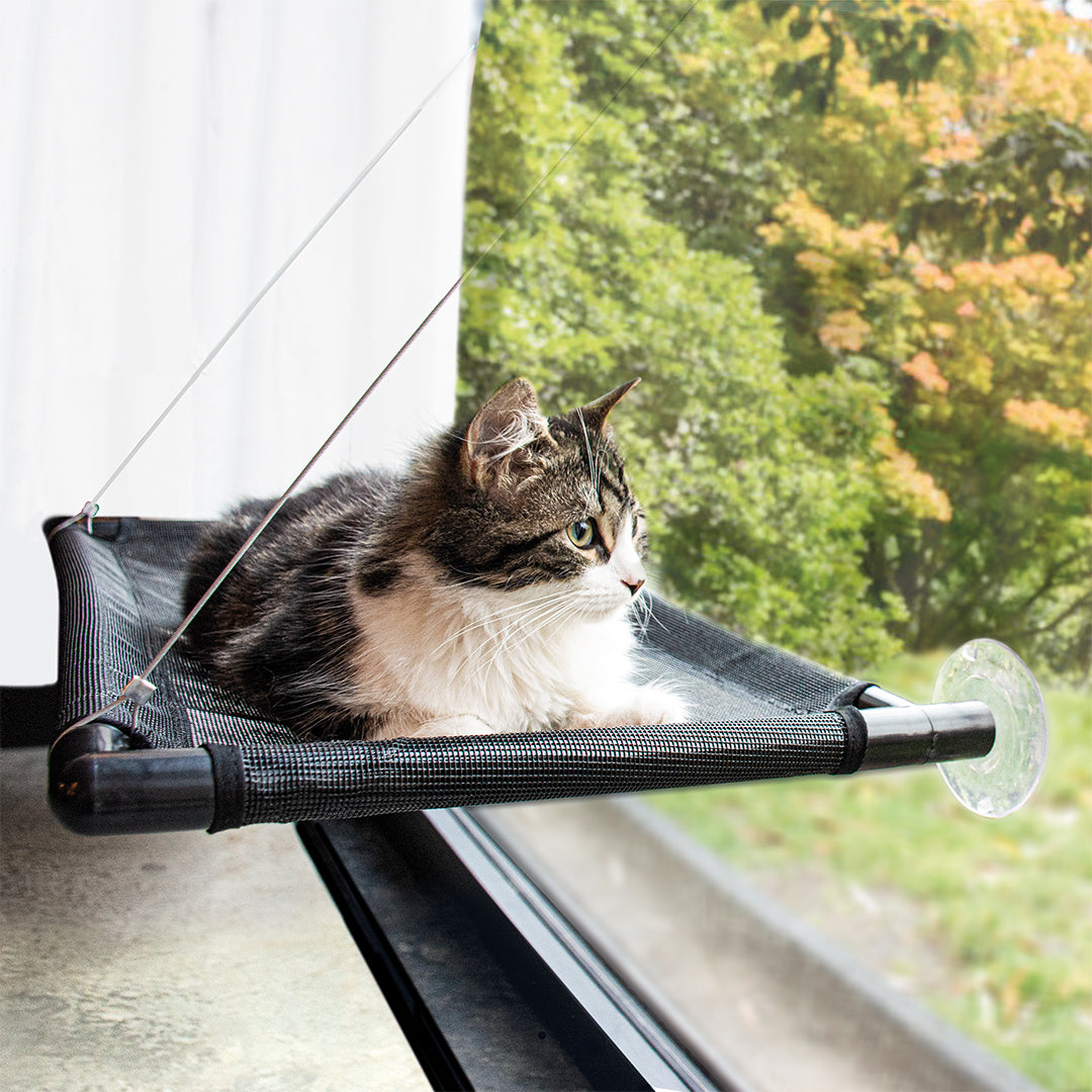 Window hammock for cats