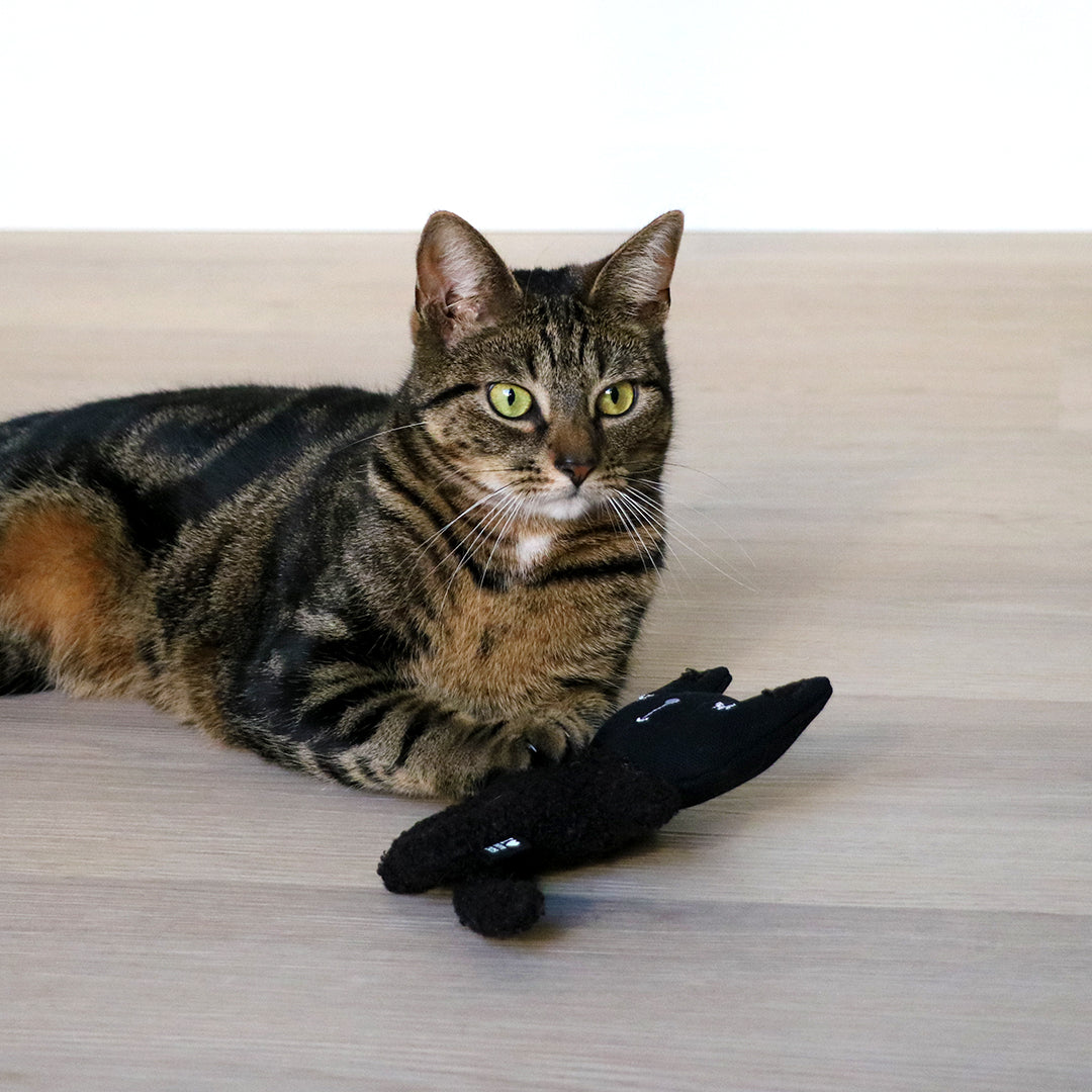 ZENO - Refillable cat kicking cushion Black