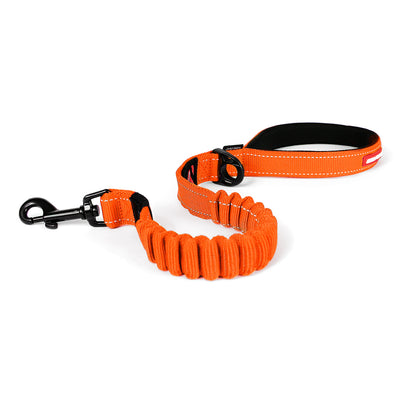 Zero Shock Leash