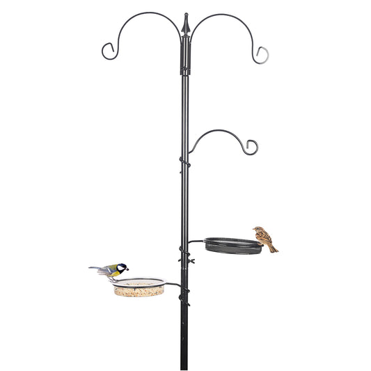 Birds Feeding Station