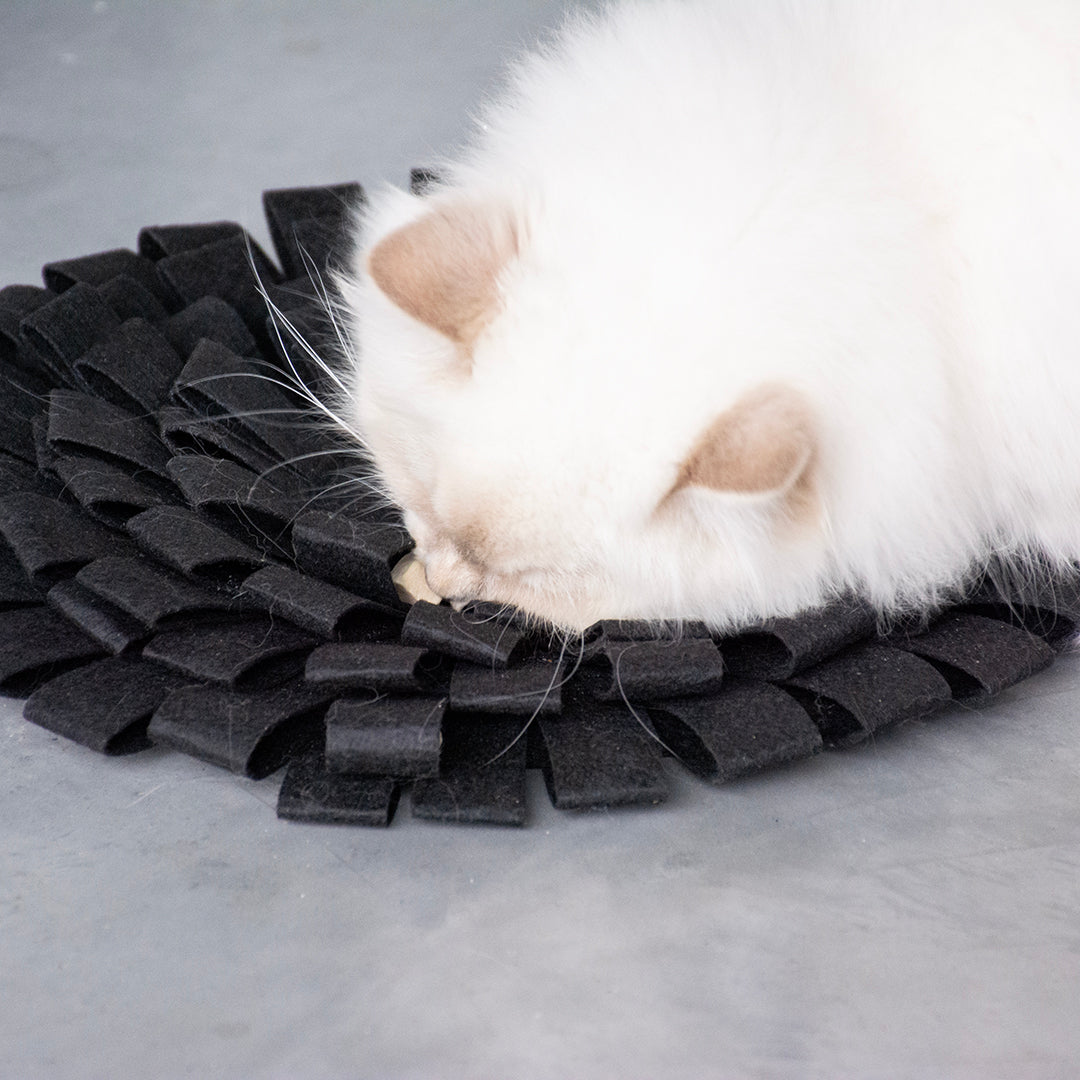 Snackmat - Suzy